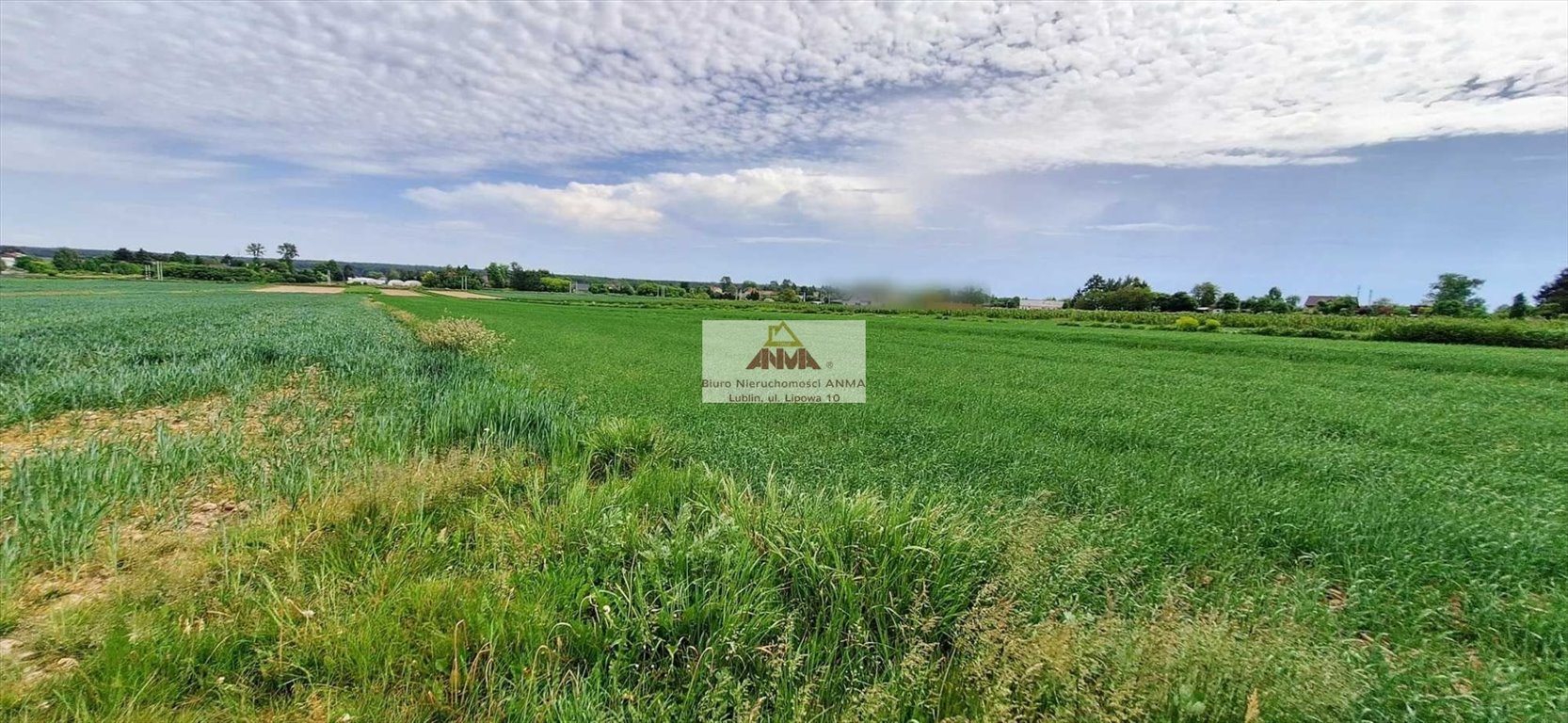 Działka pod zabudowę w Zemborzycach Kościelnych, 2,25 ha Lublin, Zemborzyce, Zemborzyce Kościelne  3 000m2 Foto 1