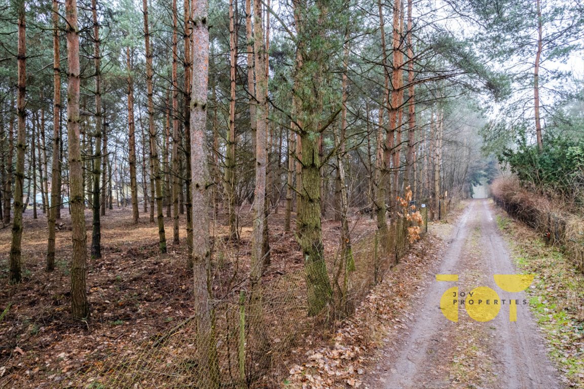 Działka budowlana na sprzedaż Żelechów, Parkowa  3 000m2 Foto 4