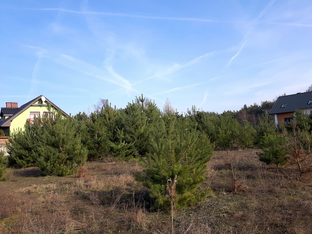 Działka budowlana na sprzedaż Skoki, Tadeusza Kościuszki 1 193m2 Foto 1 Działka budowlana na sprzedaż Skoki, Tadeusza Kościuszki 1 193m2 Foto 1