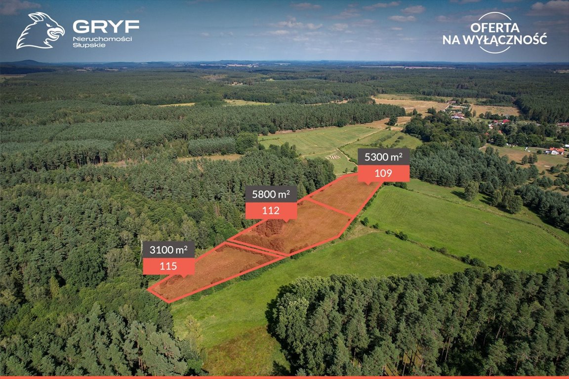 Do sprzedania urokliwa działka 3100 m² w Lękwicy blisko lasu Lękwica, Lękwica  3 100m2 Foto 1