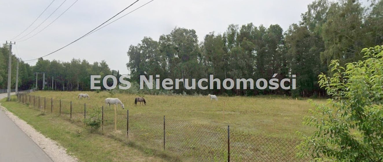 Działka 33 053 m² z domami i stajnią – Pasikonie Pasikonie, Podkowy  33 053m2 Foto 1