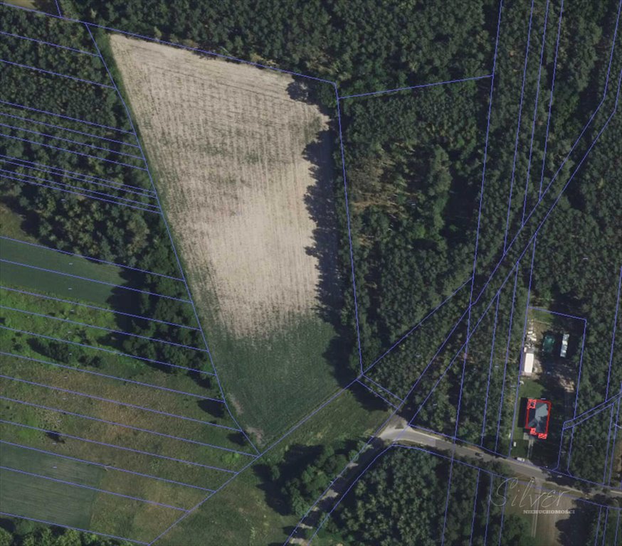 Działka rolna na sprzedaż Młodzieszyn  23 100m2 Foto 1