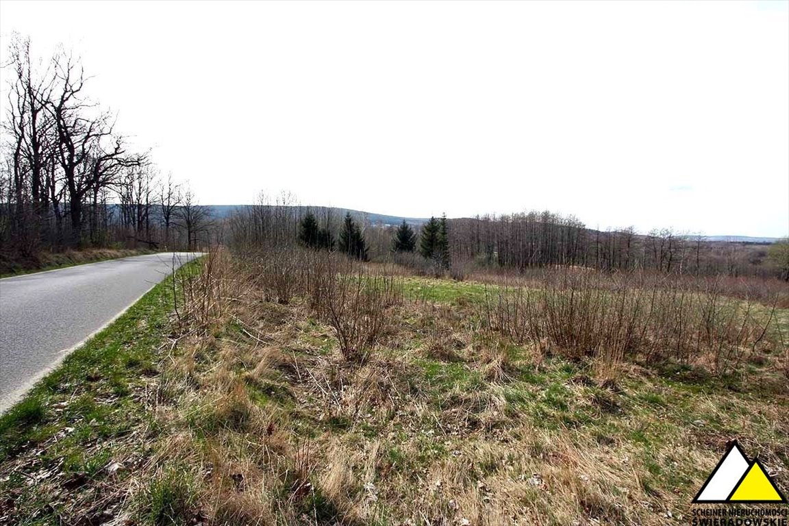 Duża działka 15 200 m² z panoramą na Ruiny Pałacu Przecznica  15 200m2 Foto 1