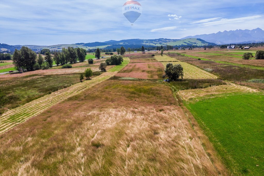 Działka rolna na sprzedaż Groń, Kobylarzówka  8 020m2 Foto 5