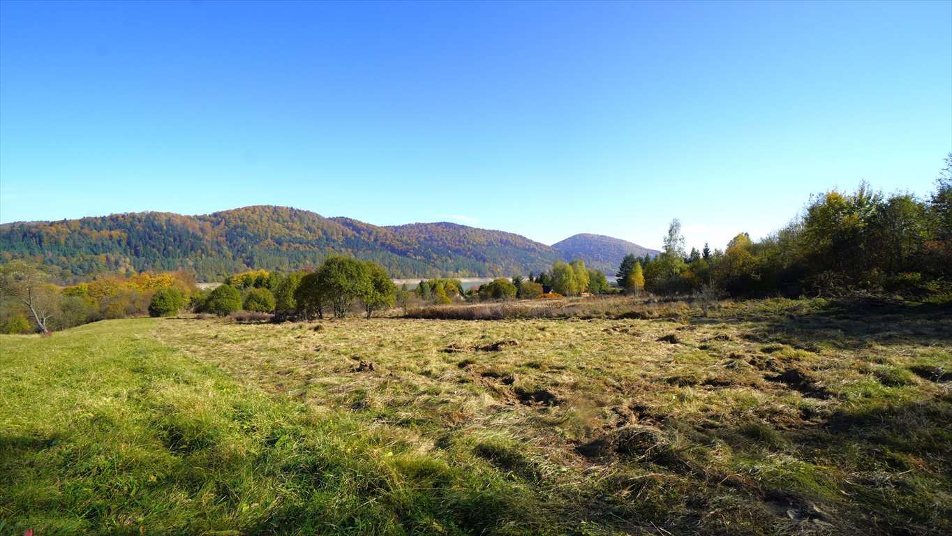 Działka budowlana na sprzedaż Klimkówka  11 300m2 Foto 5