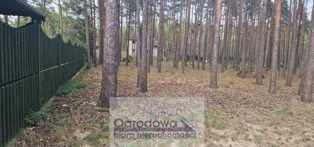 Działka budowlana na sprzedaż Zagościniec  4 059m2 Foto 6