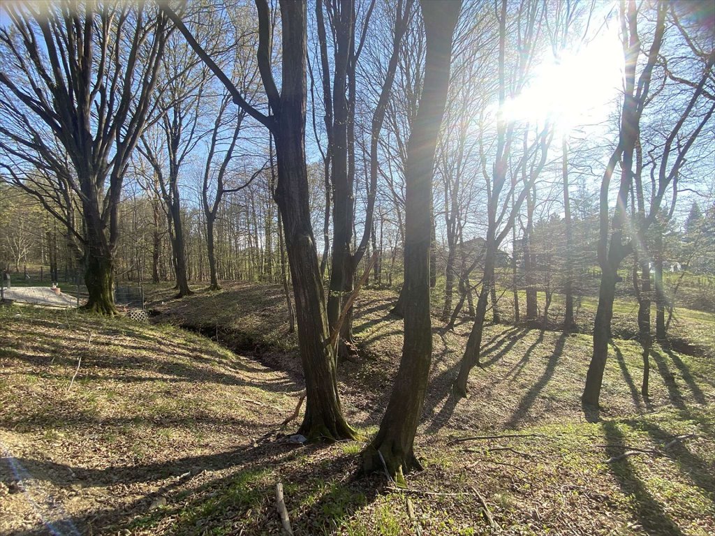 Działka budowlana na sprzedaż Ustroń, Ustroń, Działkowa  1 998m2 Foto 13