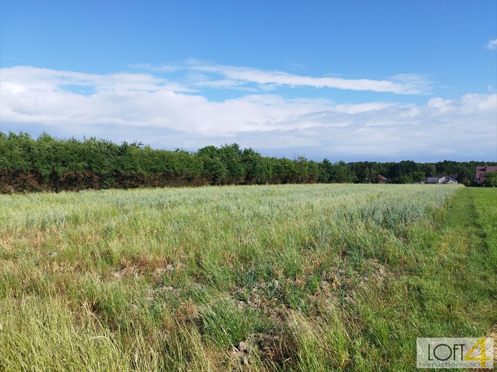 Działka inna na sprzedaż Dąbrowa Tarnowska, Żabieńska, Bagienica  1 850m2 Foto 1