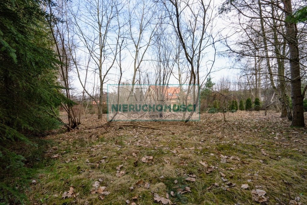 Dom dwulokalowy na dużej działce 2,28 ha z potencjałem - polecam! Ojrzanów  179m2 Foto 1