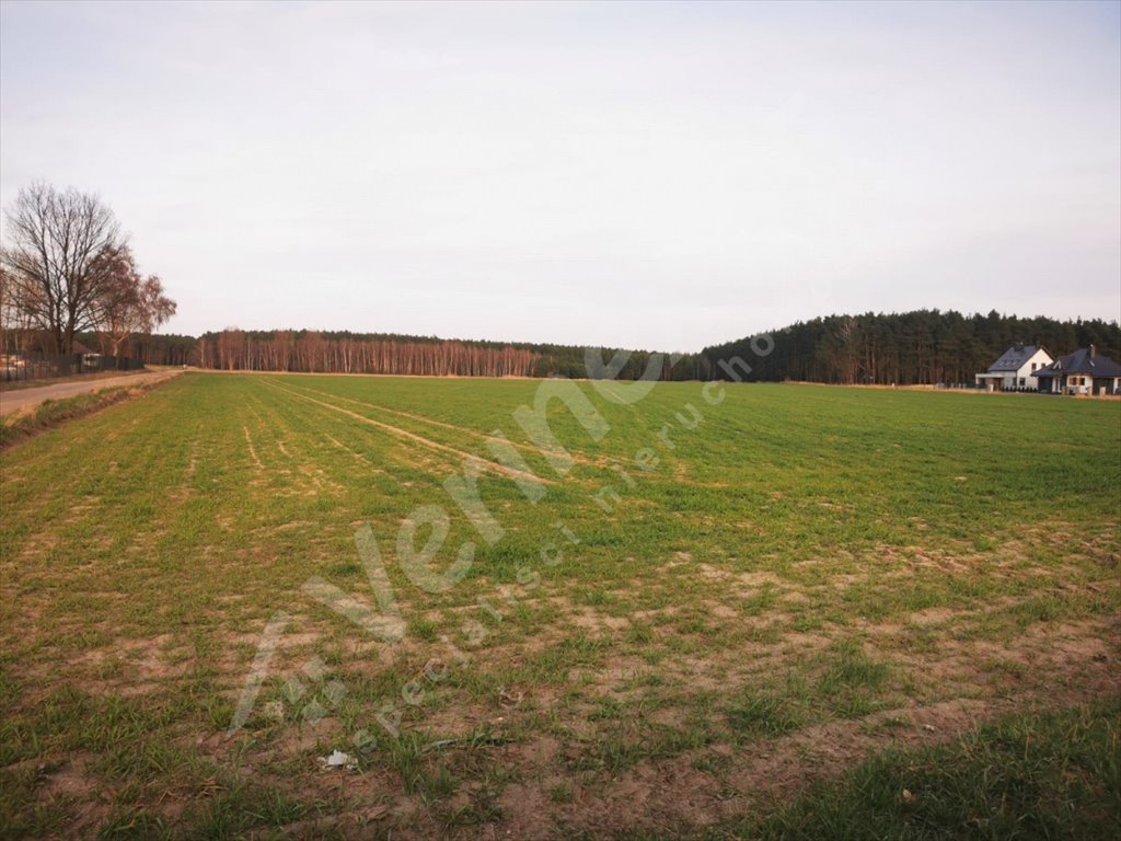 Działka rolna na sprzedaż Leszno  16 900m2 Foto 9