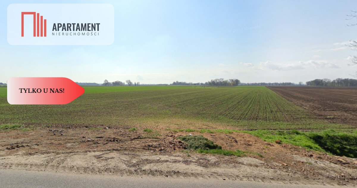 Działka siedliskowa na sprzedaż Żerniki Małe  11 800m2 Foto 1