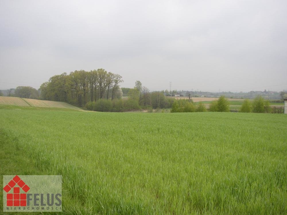 Działka 37 arów pod lasem, cisza i dostęp do mediów Bęczyn, Bęczynek  3 700m2 Foto 1