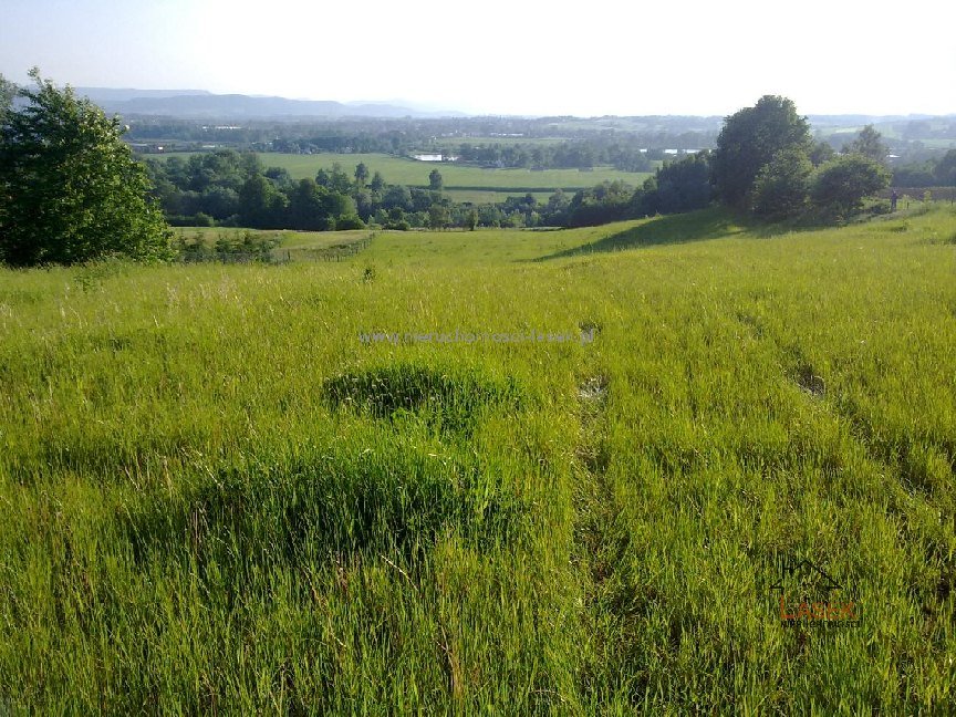 Działka 2,5 ha z zabudową i rolami, Witanowice - polecam! Witanowice  20 000m2 Foto 1
