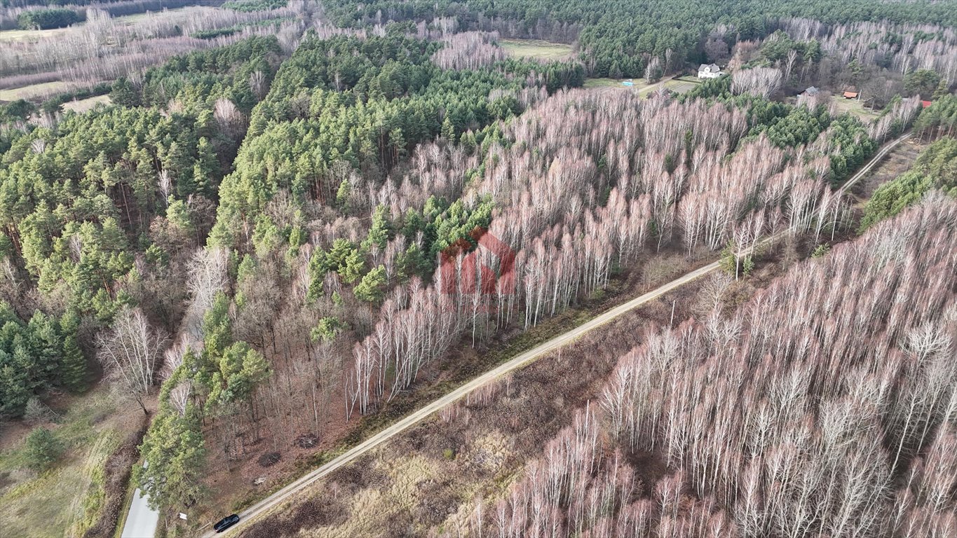 Działka budowlana na sprzedaż Czarna Sędziszowska  1 350m2 Foto 2