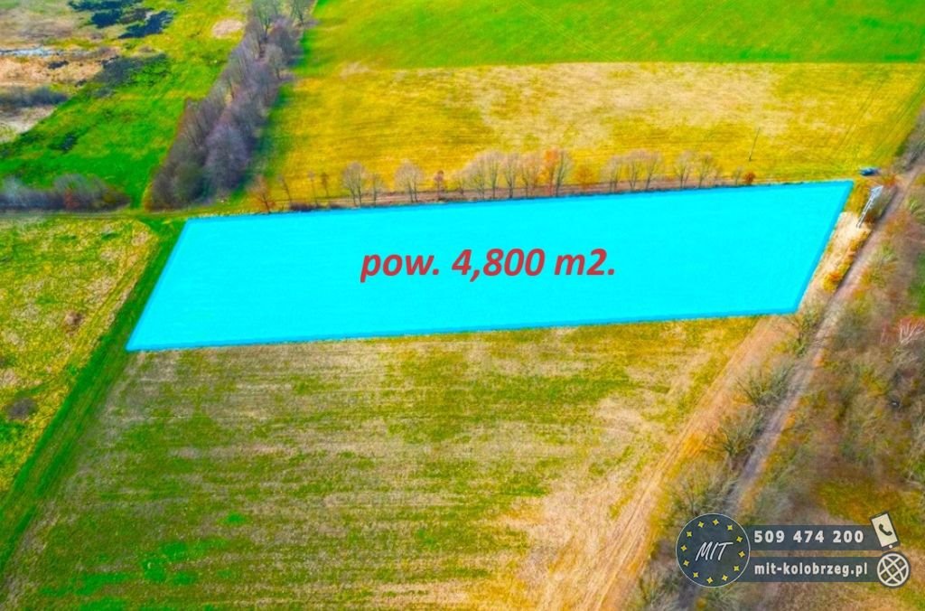 Działka budowlana na sprzedaż Nieżyn  4 800m2 Foto 2