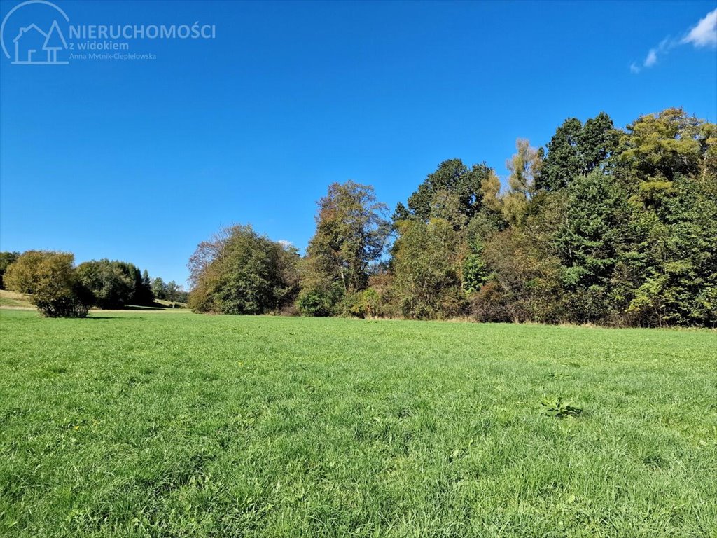 Działka rolna na sprzedaż Strzeszyn  3 900m2 Foto 14