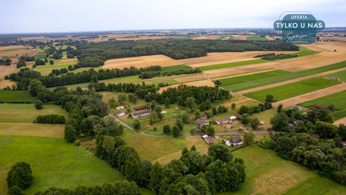 Działka budowlana na sprzedaż Magnusy  3 713m2 Foto 12