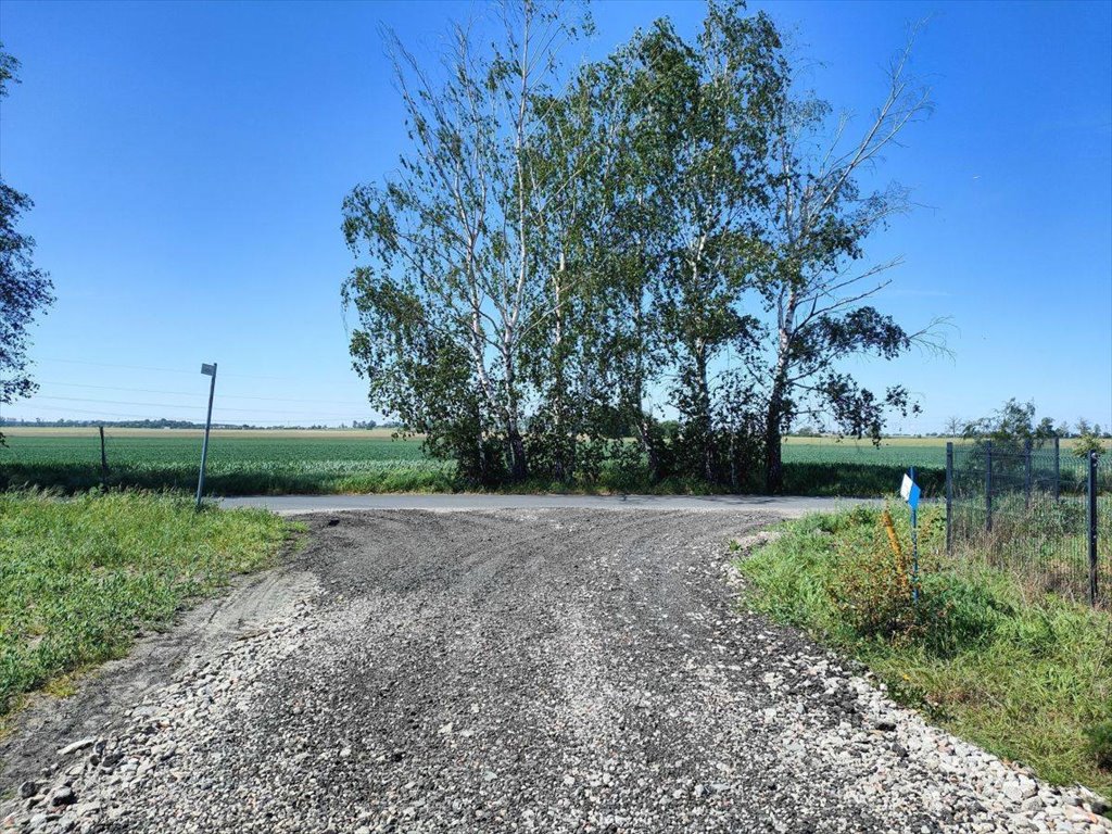 Działka budowlana na sprzedaż Ceradz Dolny  1 060m2 Foto 6