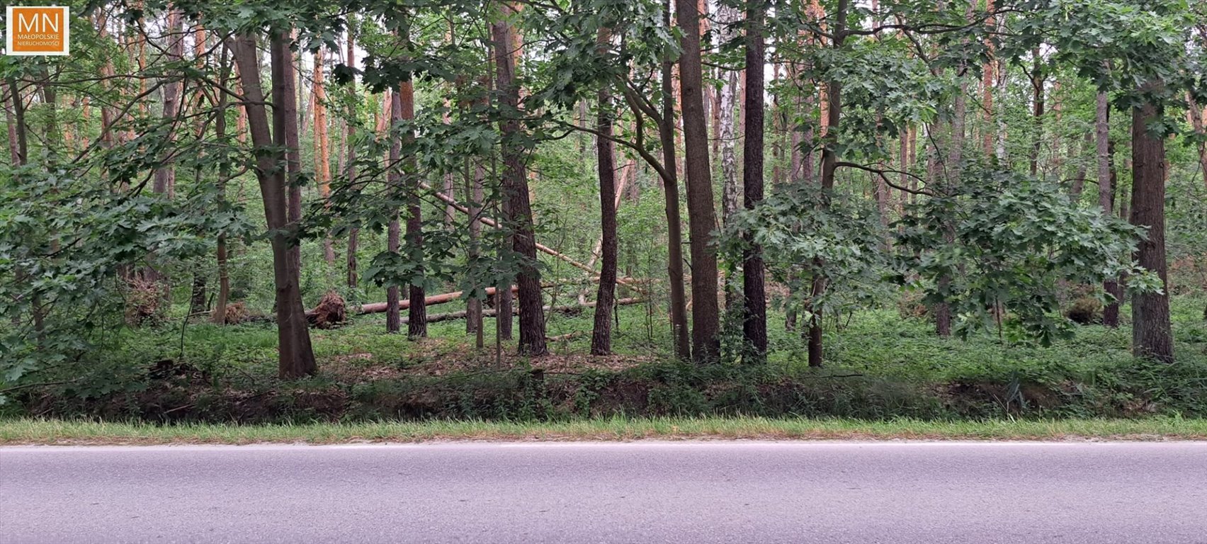 Zdjęcie 4