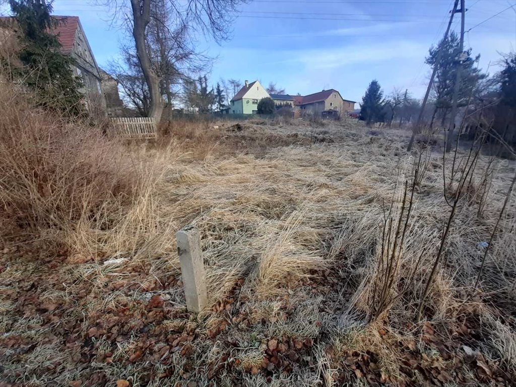 Działka budowlana na sprzedaż Walim, Dziećmorowice  1 200m2 Foto 4