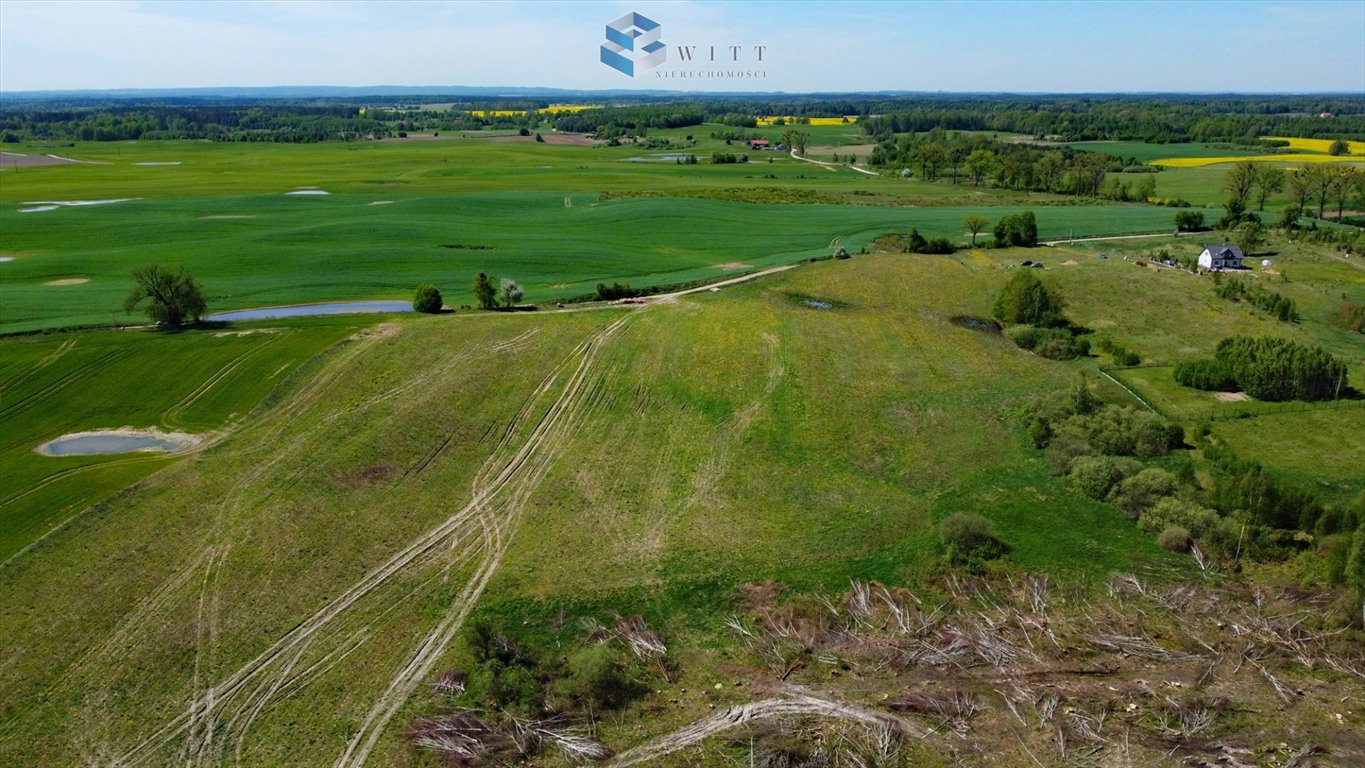 Działka budowlana na sprzedaż Elgnówko  1 561m2 Foto 5