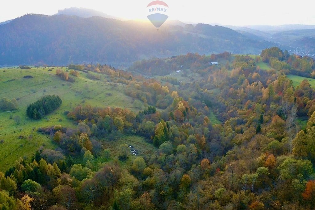 Działka rolna na sprzedaż Szczawnica  2 578m2 Foto 9