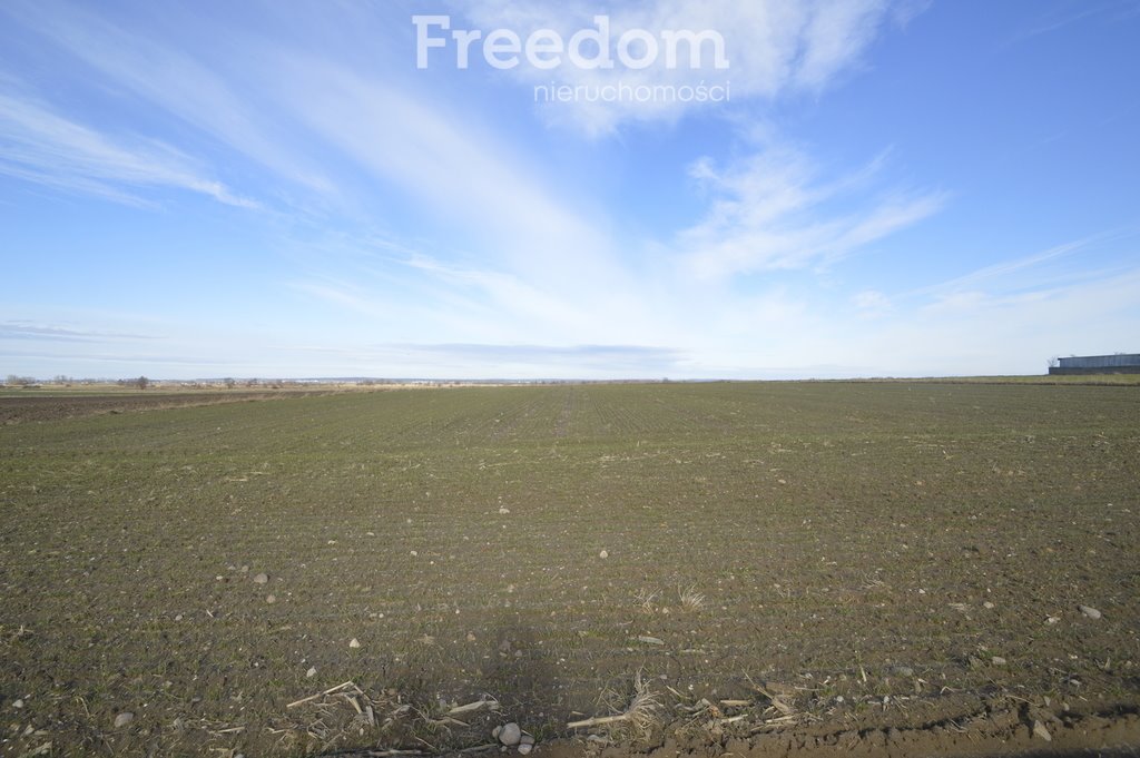 Działka budowlana na sprzedaż Nowa Wieś Książęca  6 400m2 Foto 6