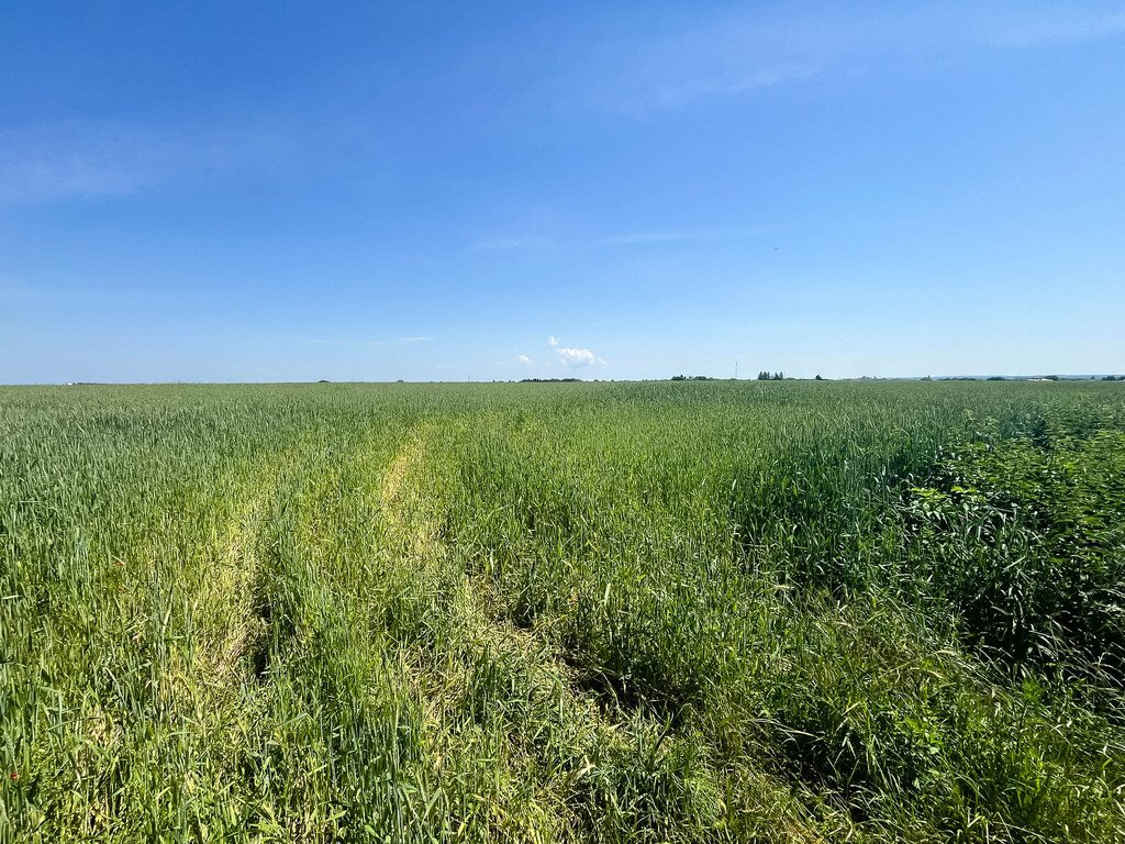 Działka budowlana na sprzedaż Opatów, Ćmielowska  1 323m2 Foto 14