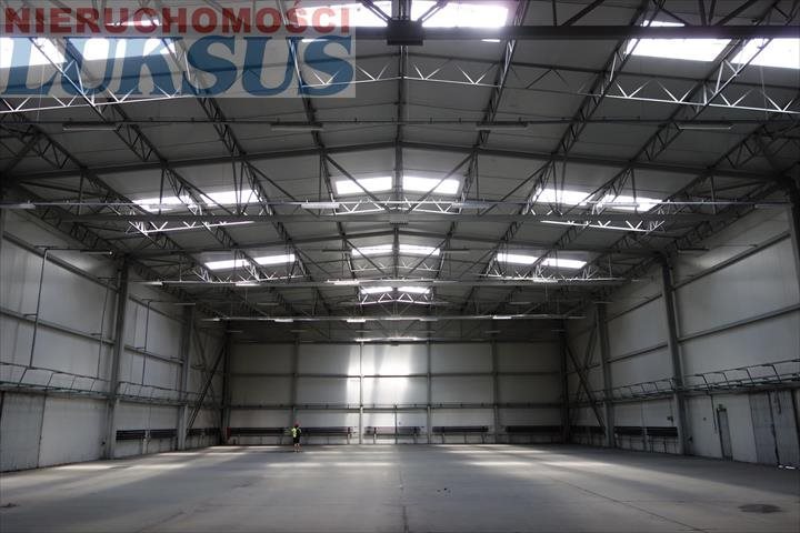 Lokal użytkowy na wynajem Piaseczno, Piaseczno 60m2 Foto 1 Lokal użytkowy na wynajem Piaseczno, Piaseczno 60m2 Foto 1