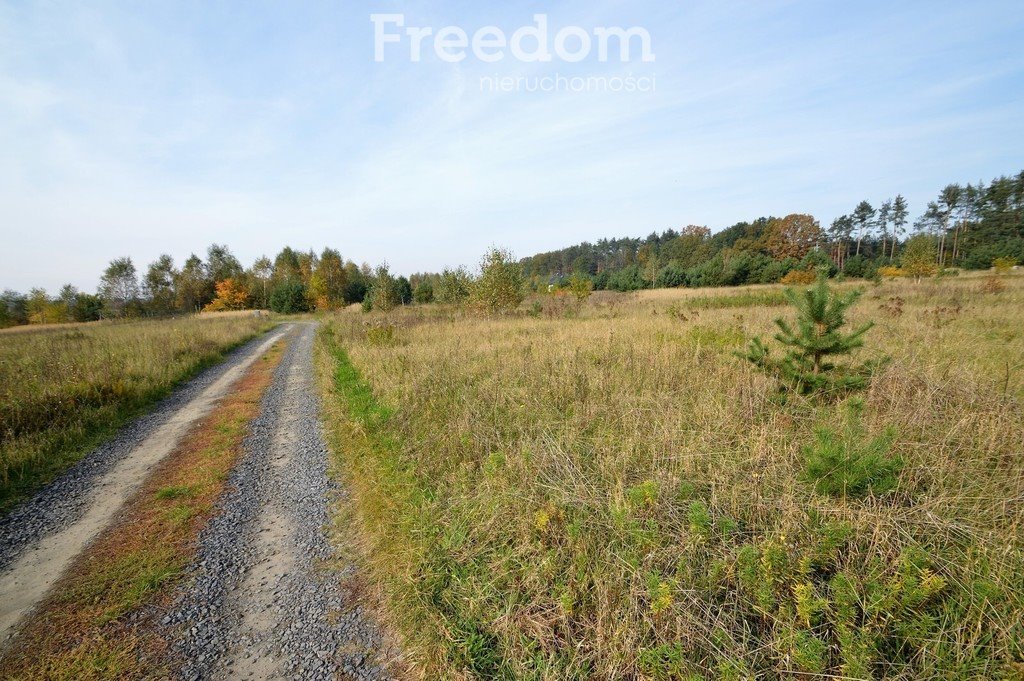 Działka budowlana na sprzedaż Siedliska  735m2 Foto 4