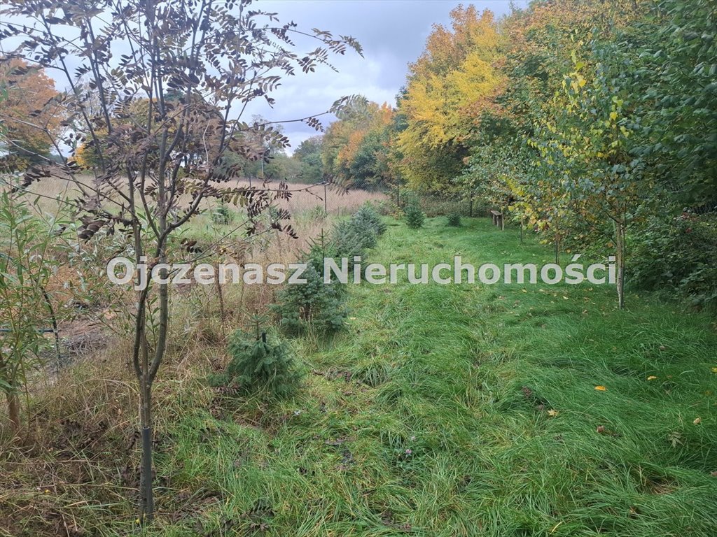 Polecam działkę 1565 m² z wodą, prądem i lasem w Zielonczynie Zielonczyn  1 565m2 Foto 1
