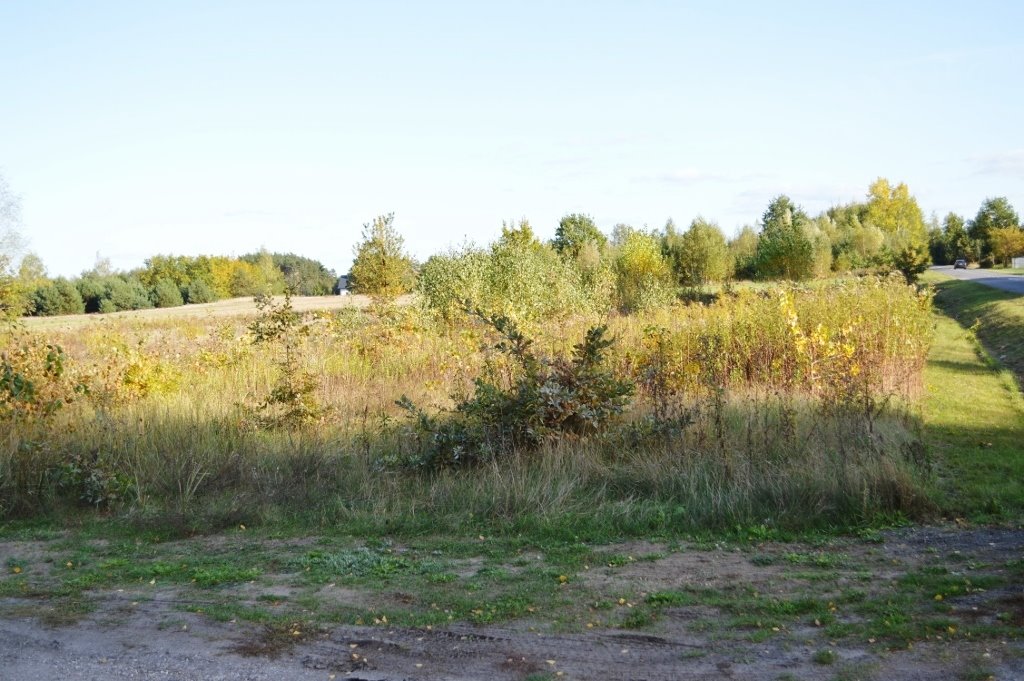 Działka budowlana na sprzedaż Sierzchów, Mazowiecka  10 500m2 Foto 4