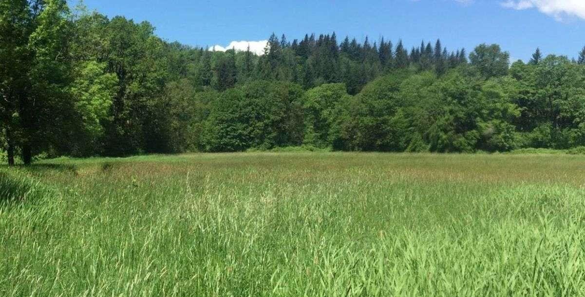 Działka rekreacyjna na sprzedaż Burdeniszki  3 518m2 Foto 3