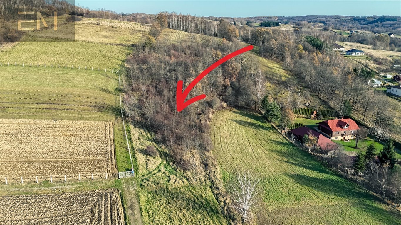 Działka budowlana na sprzedaż Lubenia  2 800m2 Foto 4