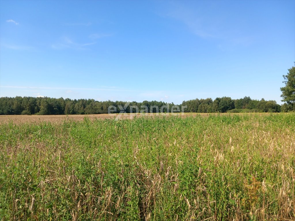 Działka rolna na sprzedaż Blinno  12 200m2 Foto 2