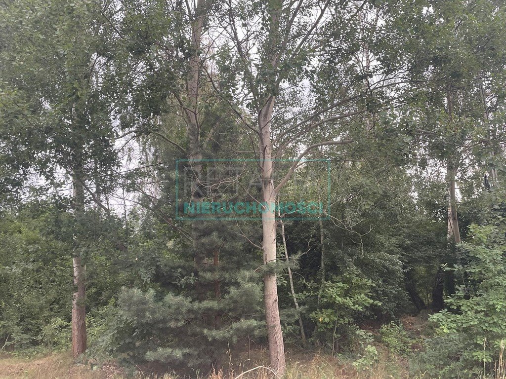 Zalesie, działka 1743 m² z mediami i dobrym dojazdem Zalesie  1 743m2 Foto 1