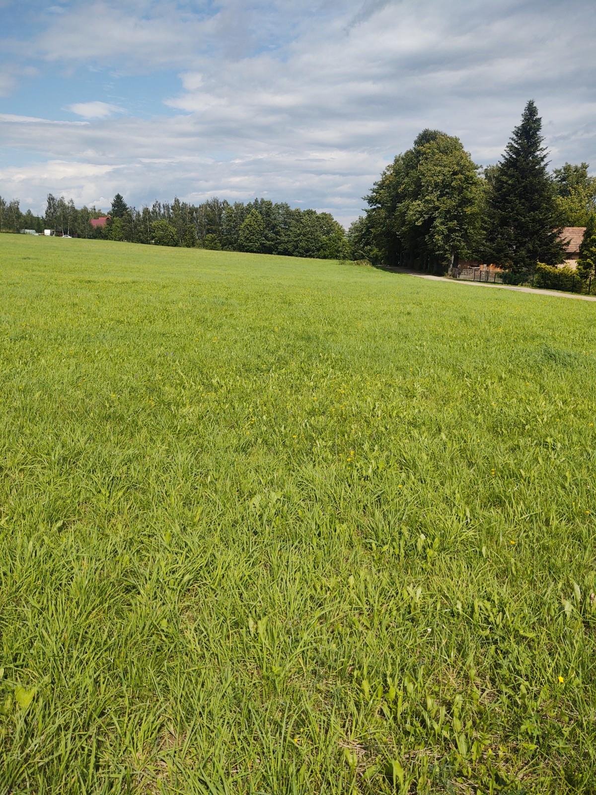 Działka budowlana na sprzedaż Międzyrzecze Górne  1 175m2 Foto 9