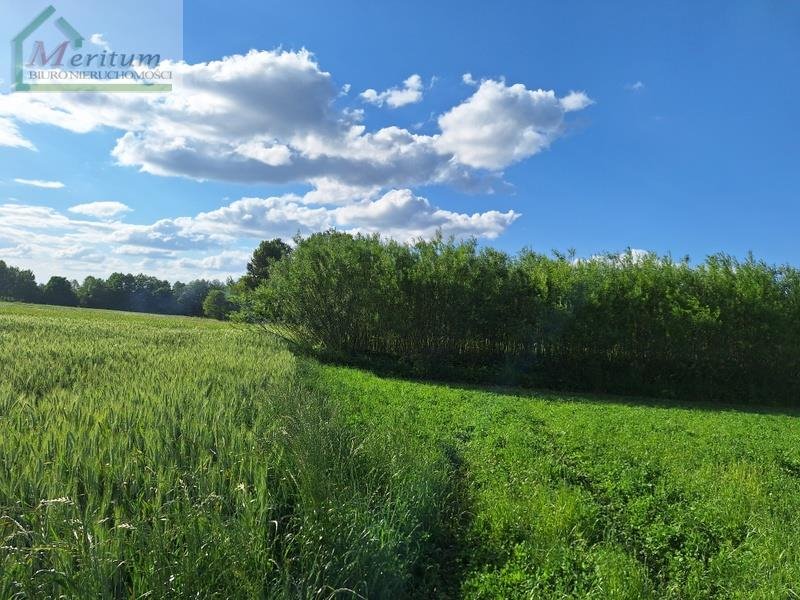 Działka rolna na sprzedaż Bzianka  3 088m2 Foto 7