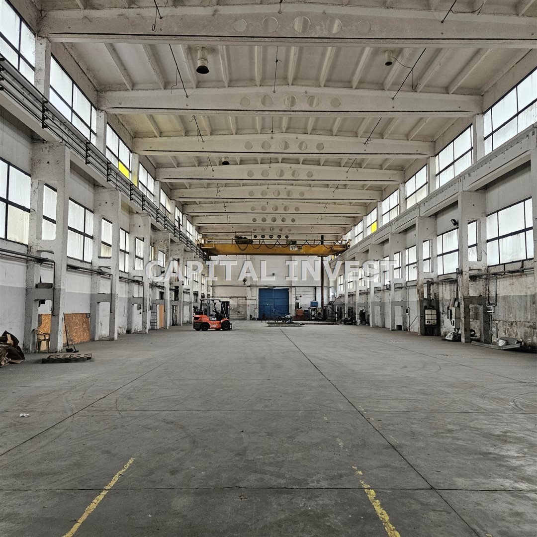 Magazyn 1660 m² z halą i biurami w Rajsku polecam Rajsko  1 660m2 Foto 1