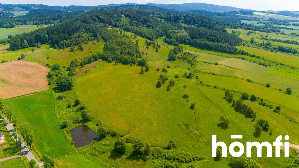 Działka budowlana na sprzedaż Krzeszów, św. Anny  44 700m2 Foto 5