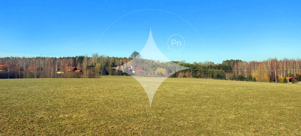 Działka 6 287 m² w cichej, zielonej okolicy z mediami Marcinkowo  6 287m2 Foto 1