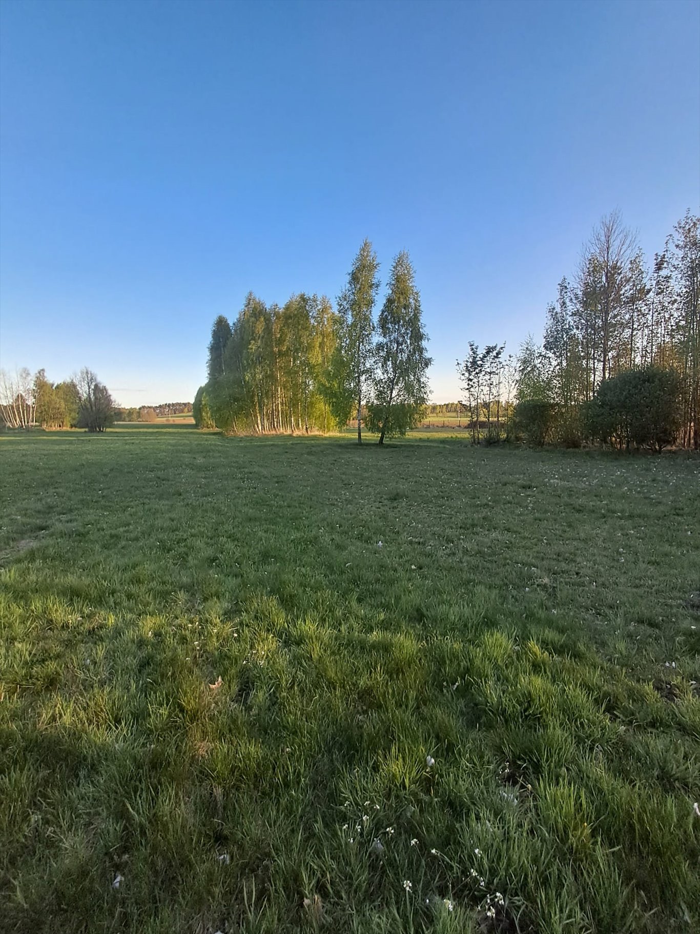 Działka budowlana 3900 m² z warunkami zabudowy, media, asfalt Godziesze Wielkie, Stobno Wieś  3 900m2 Foto 1