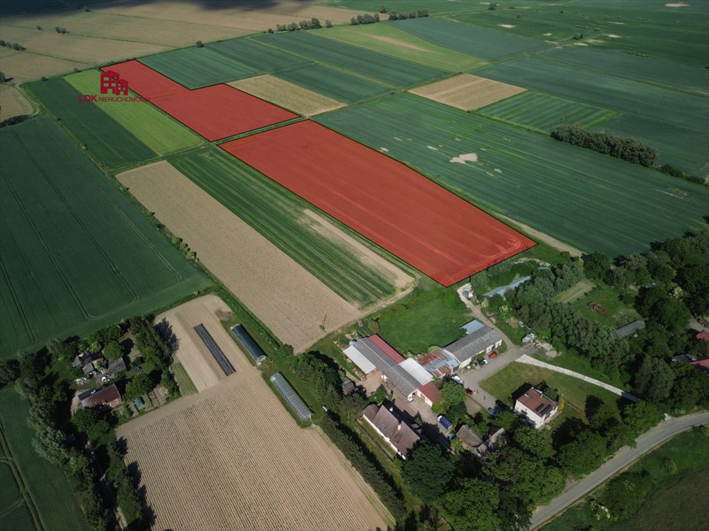 Działka siedliskowa na sprzedaż Gdańsk, Sobieszewo, Przegalińska  30 600m2 Foto 12