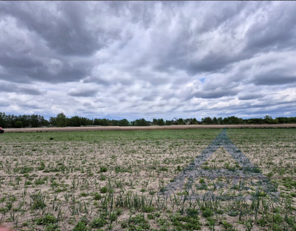 Działka usługowa 2250 m² z MPZP i potencjałem inwestycyjnym. Warszawa, Ursynów  2 250m2 Foto 1