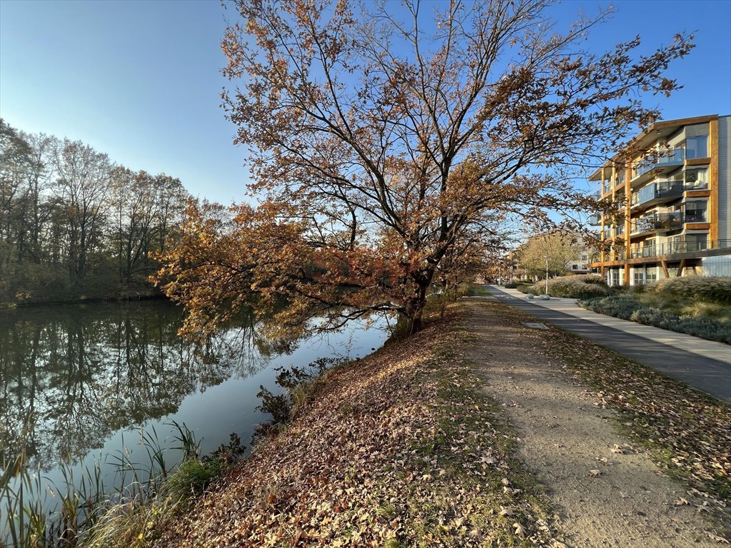 Mieszkanie dwupokojowe na sprzedaż Wrocław, Psie Pole, Swojczyce, Magellana Ferdynanda  48m2 Foto 14