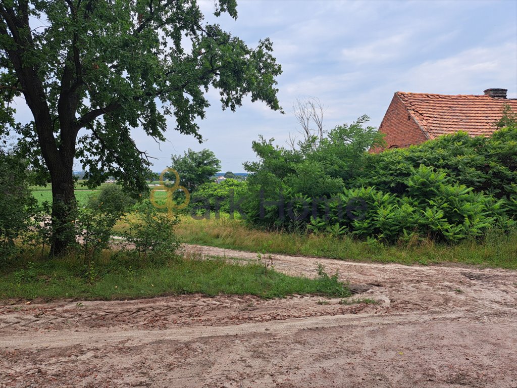 Działka budowlana na sprzedaż Żegrowo  1 460m2 Foto 5