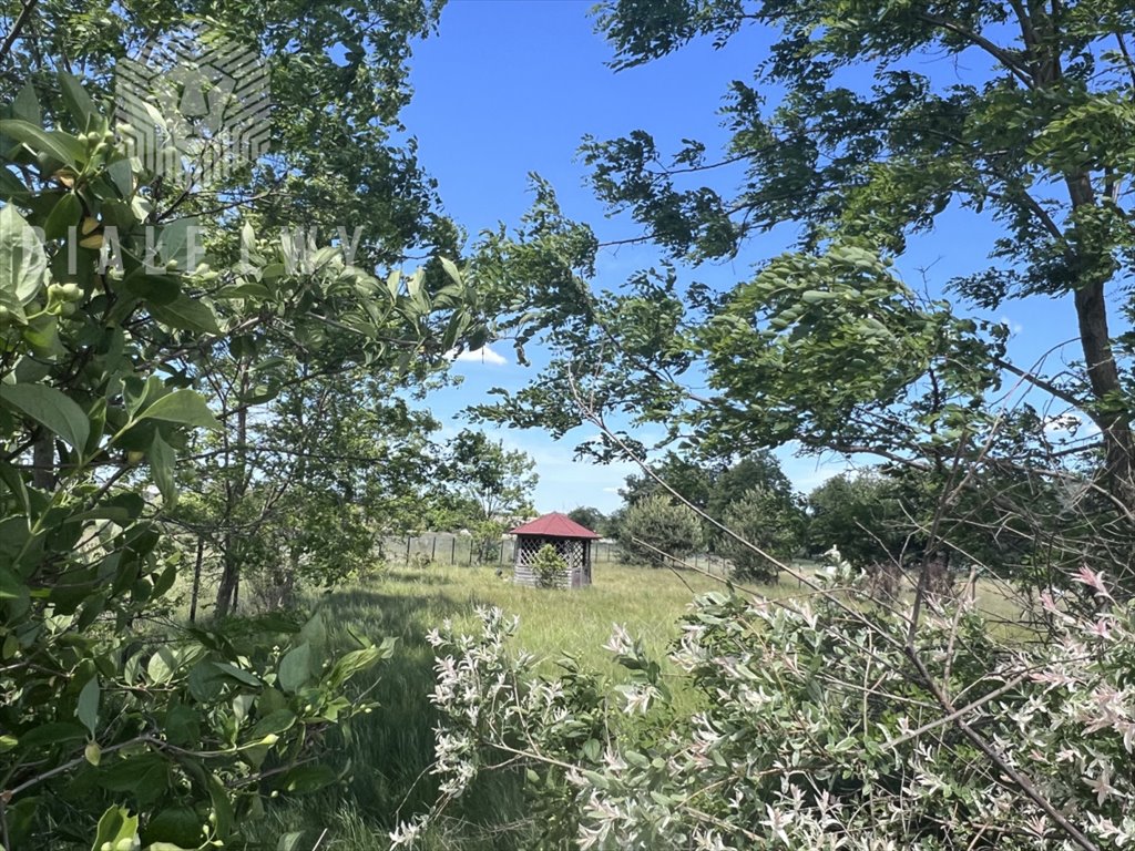 Działka budowlana na sprzedaż Zazdrość, Napoleońska  960m2 Foto 5