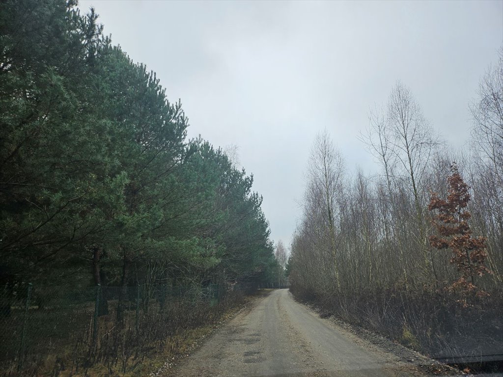 Działka rolna na sprzedaż Stare Babice, Mariew  1 500m2 Foto 10