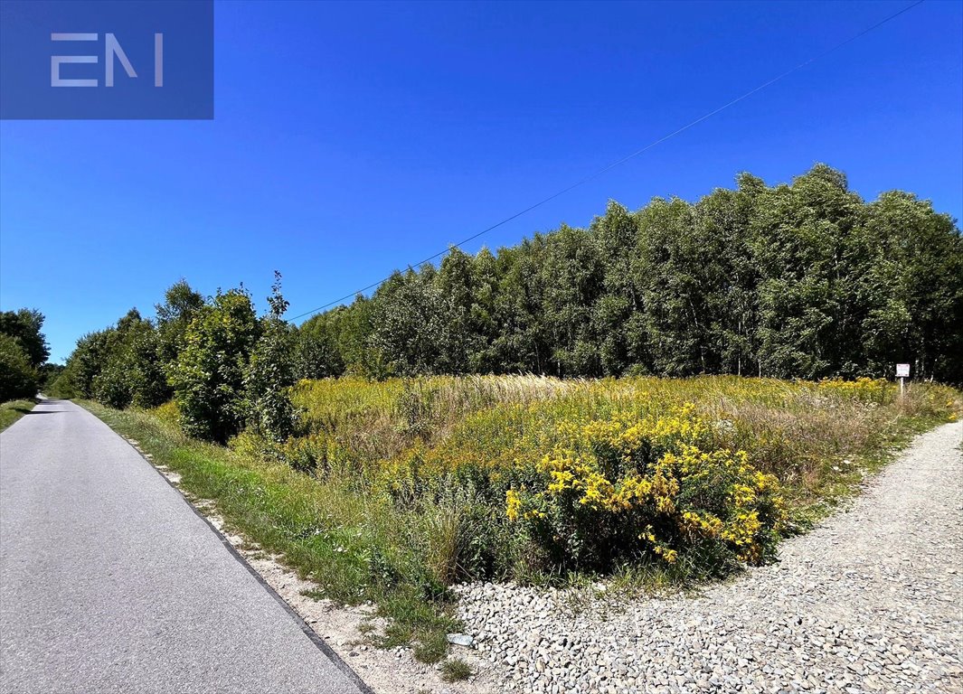 Działka rekreacyjna na sprzedaż Szufnarowa  900m2 Foto 1