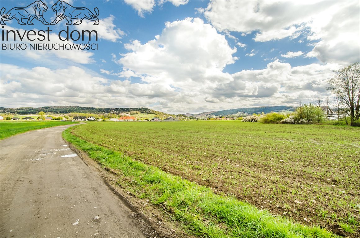 Działka budowlana na sprzedaż Sękowa  7 046m2 Foto 6